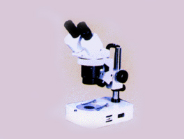 連續變倍實體顯微鏡