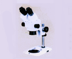 固定倍數顯微鏡